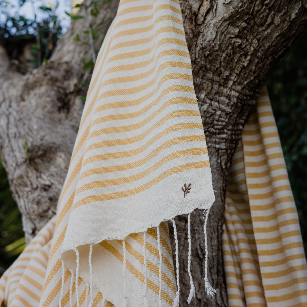 Lot de 3 foutas coton HOSSEGOR jaune moutarde, FEBRONIE