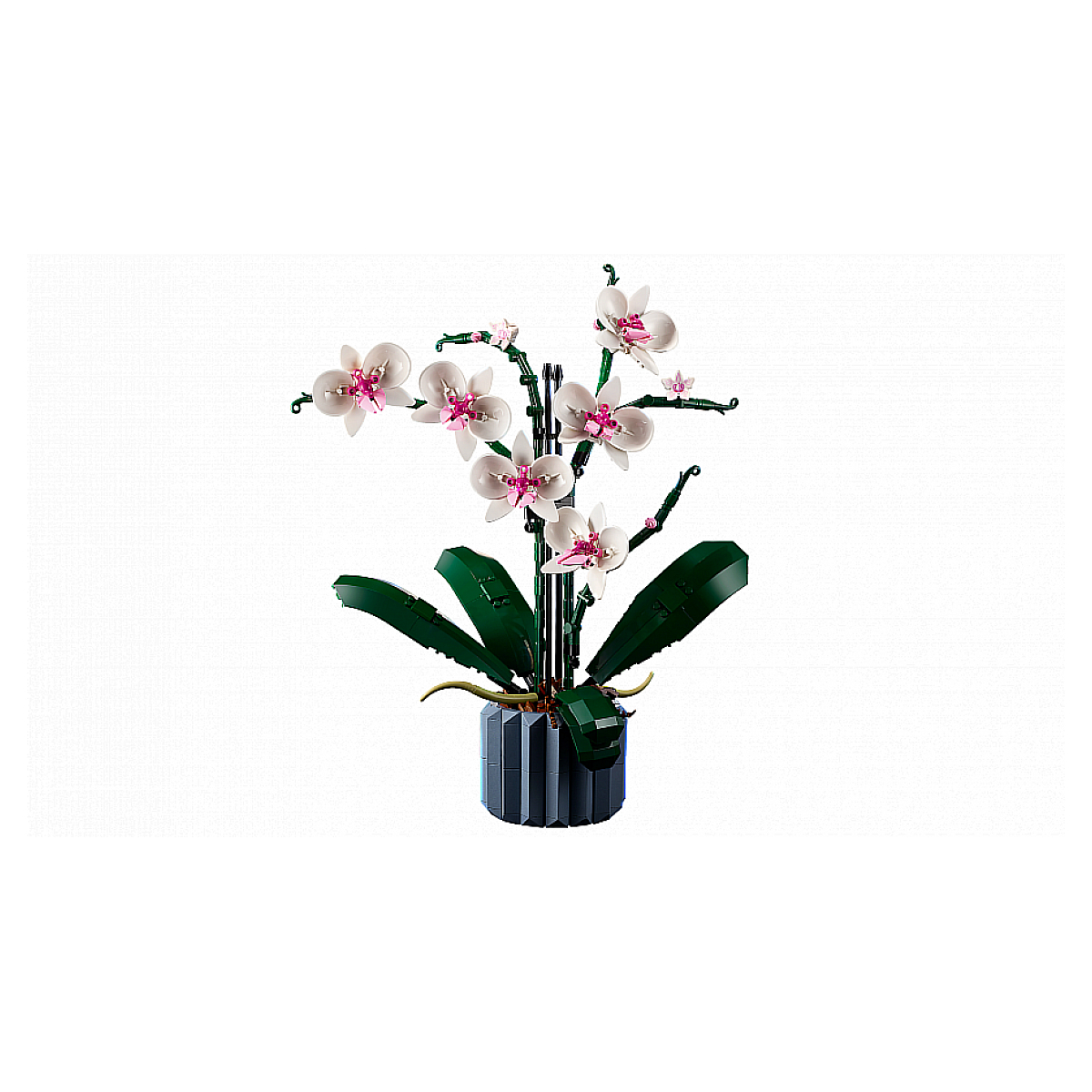 LEGO Botanicals - LEGO Creator - L'orchidée - 10311 blanc, rose, bleu, marron, LEGO