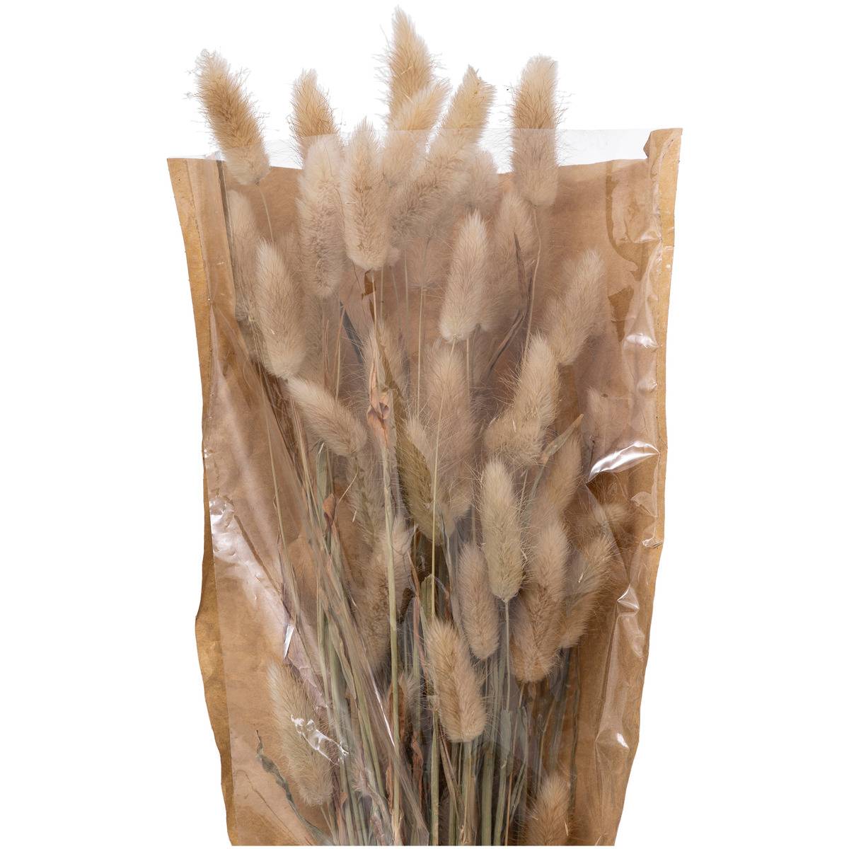Bouquet de fleurs séchées ORI beige, ATMOSPHERA