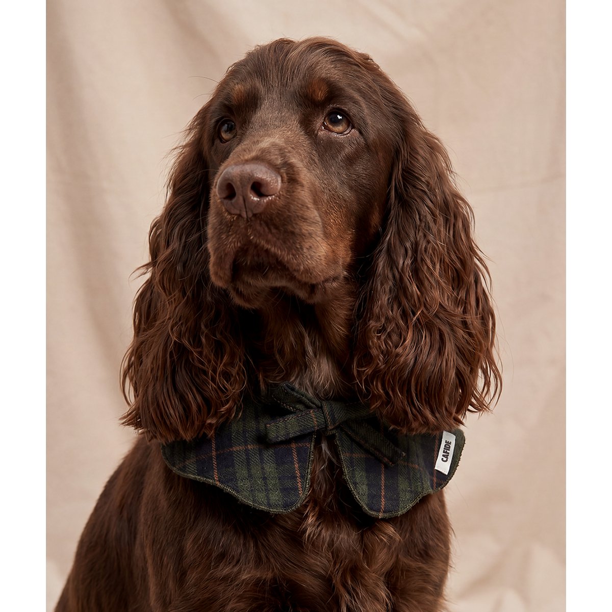 Bandana pour chien style col tartan vert, Lola vert, CAFIDE