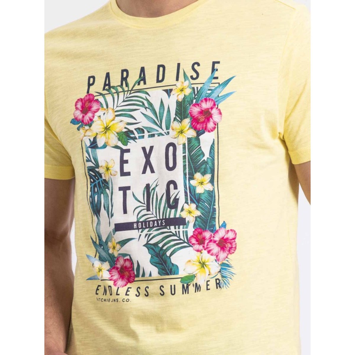 T-shirt Col Rond Nopajoux jaune, RITCHIE