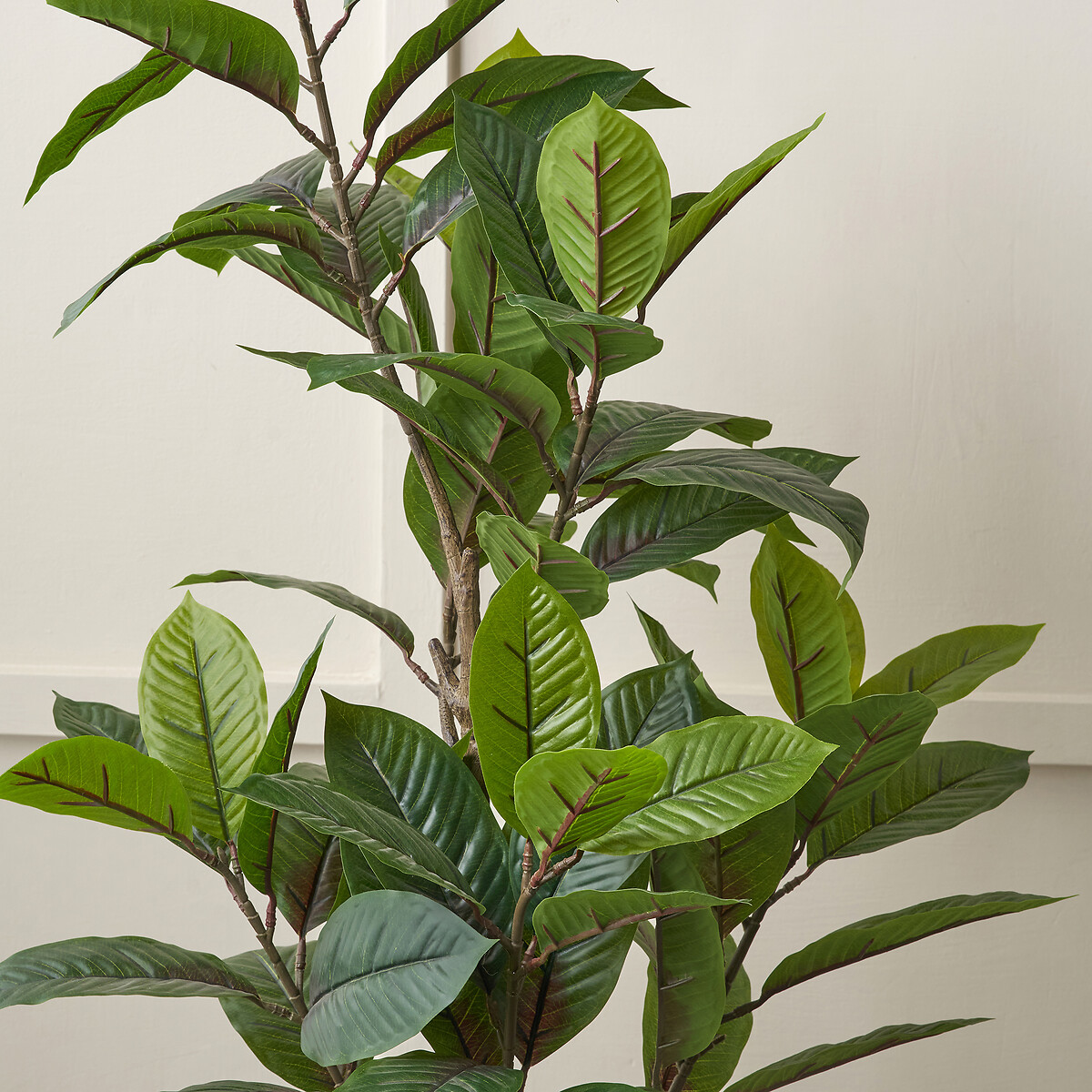 130cm Magnolia Tree in Pot green/grey, ÉDITÉ