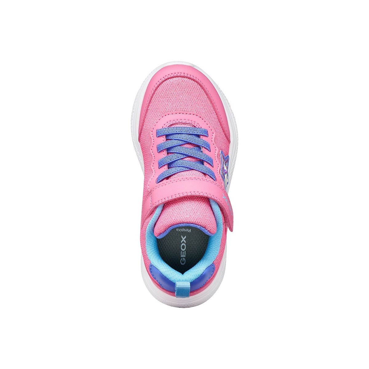 Baskets à lacets élastiqués SPRINTYE rose/bleu, GEOX