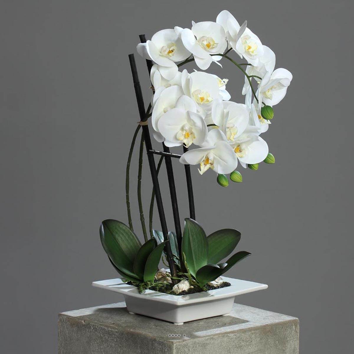 Orchidee factice 3 hampes en coupe ceramique crème, ARTIFICIELLES