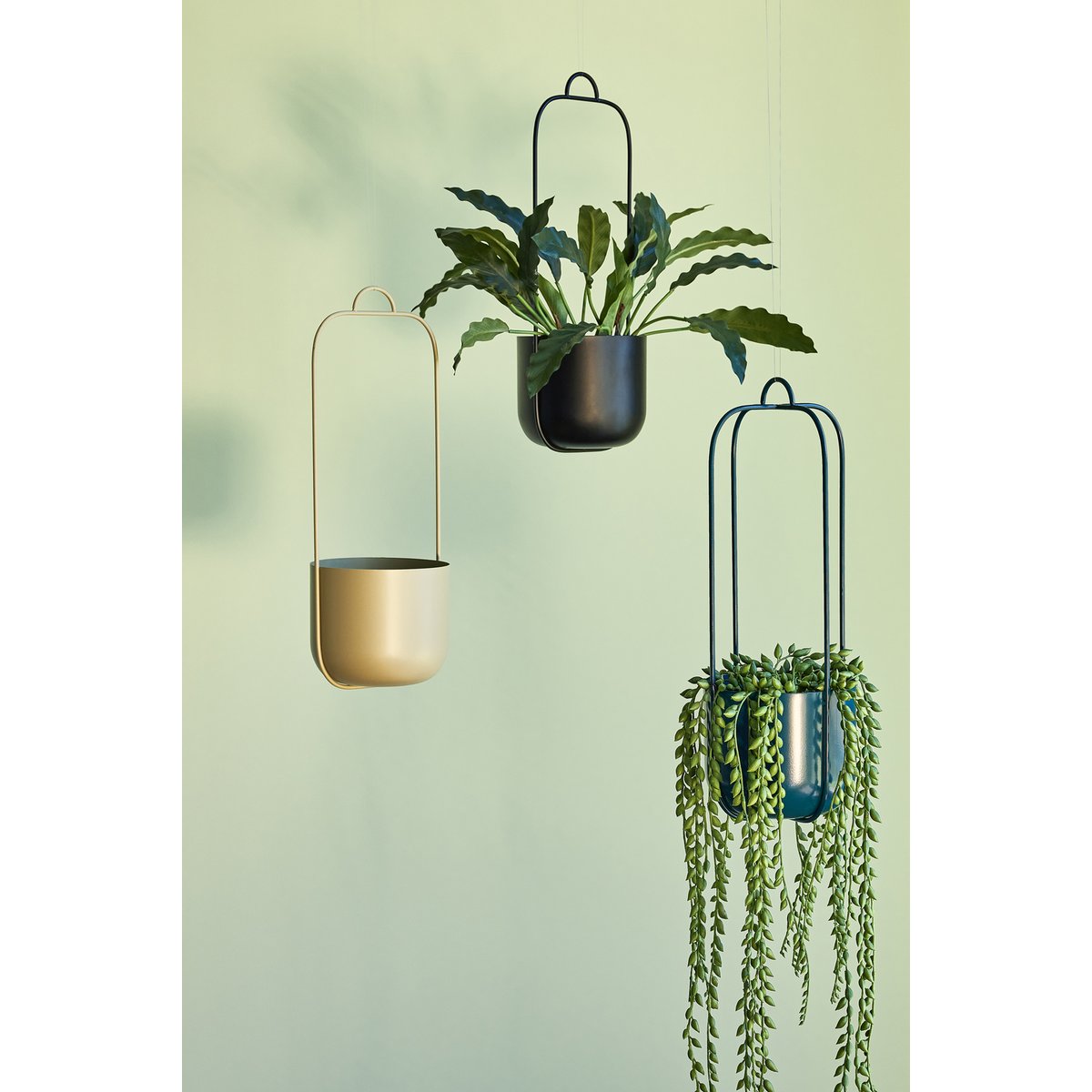 Suspension pour plantes en fer LOTUS noir, HUBSCH