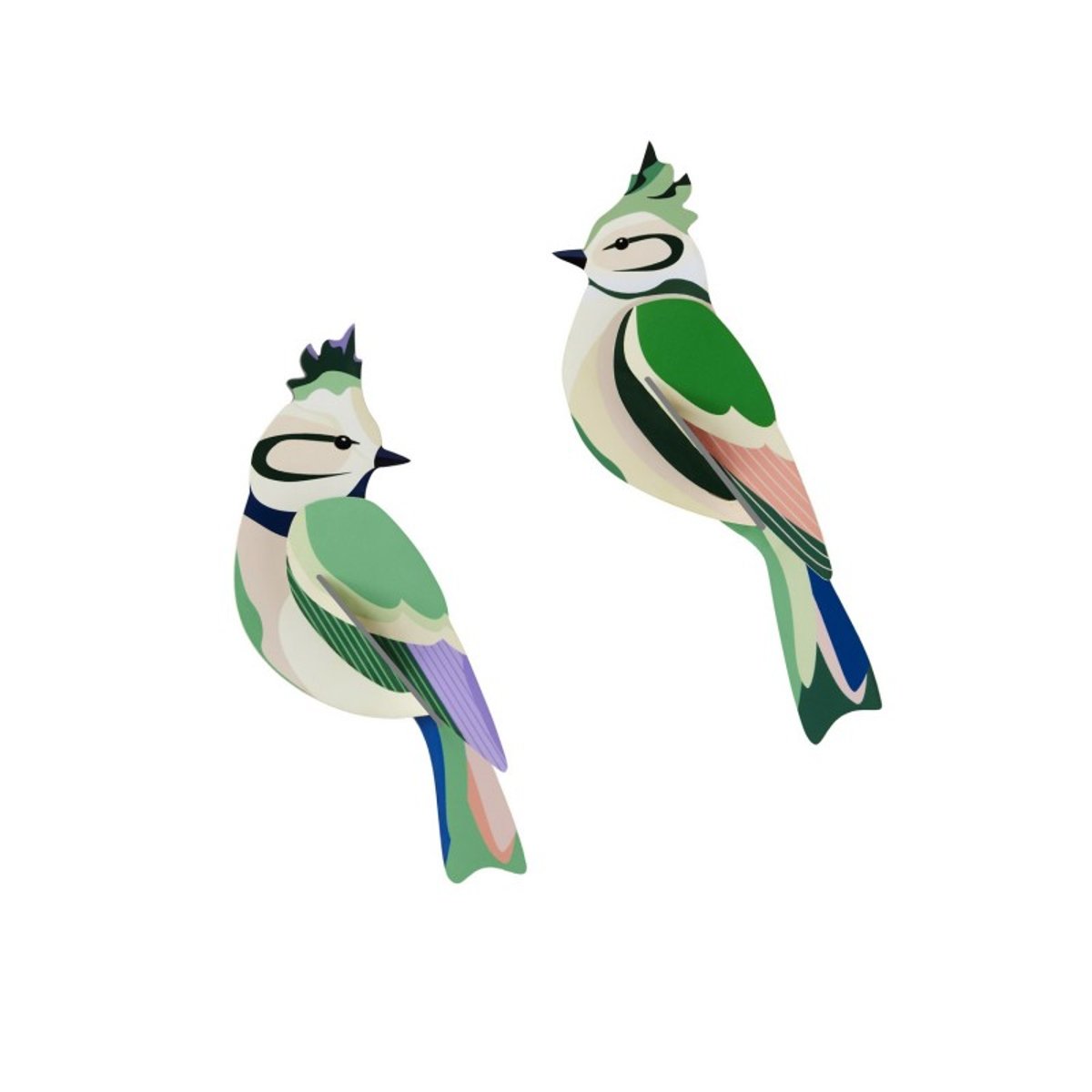 Oiseaux de jardin 3D décoratifs carton  Forest Crests vert, STUDIO ROOF