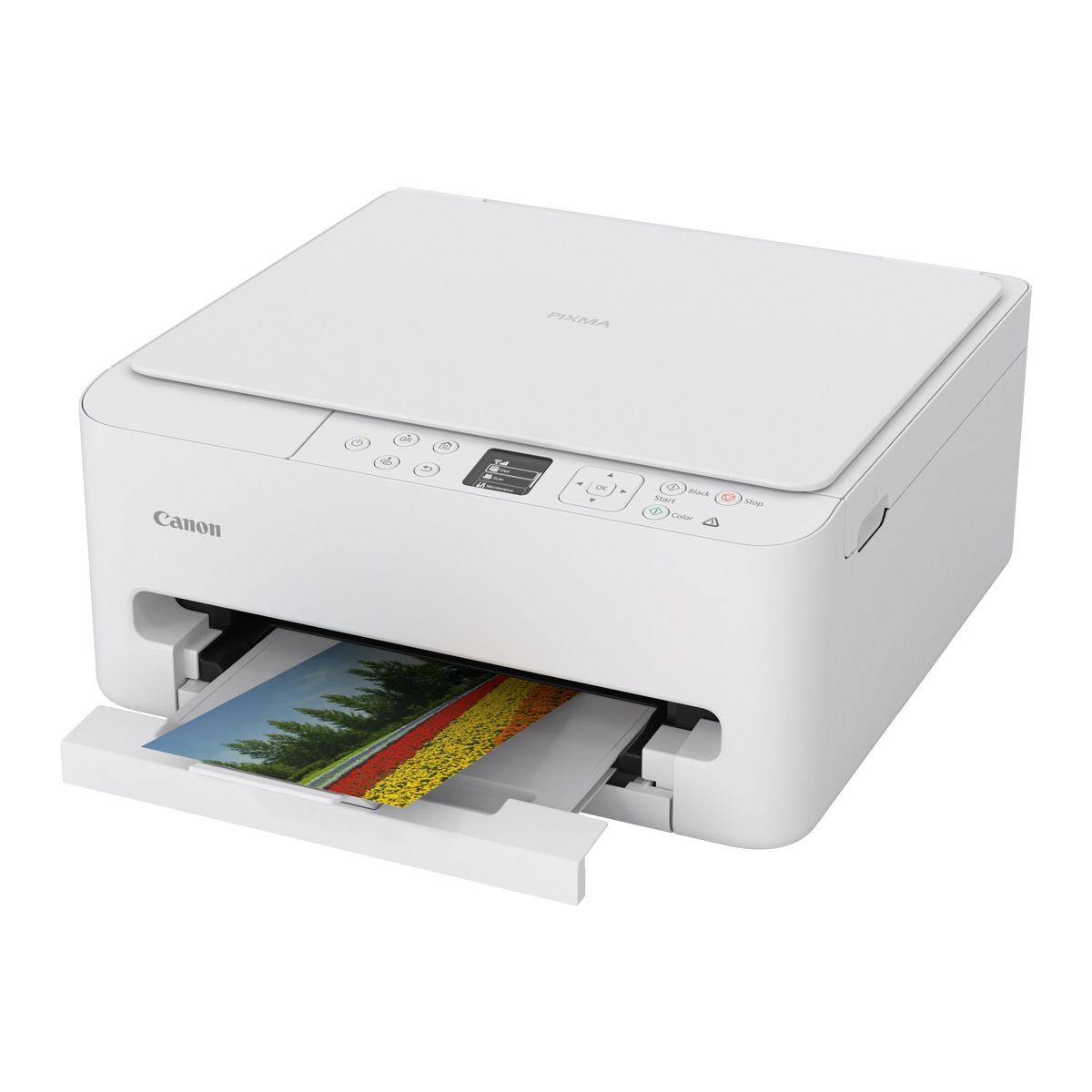Imprimante jet d'encre PIXMA TS6550i WH couleur unique, CANON
