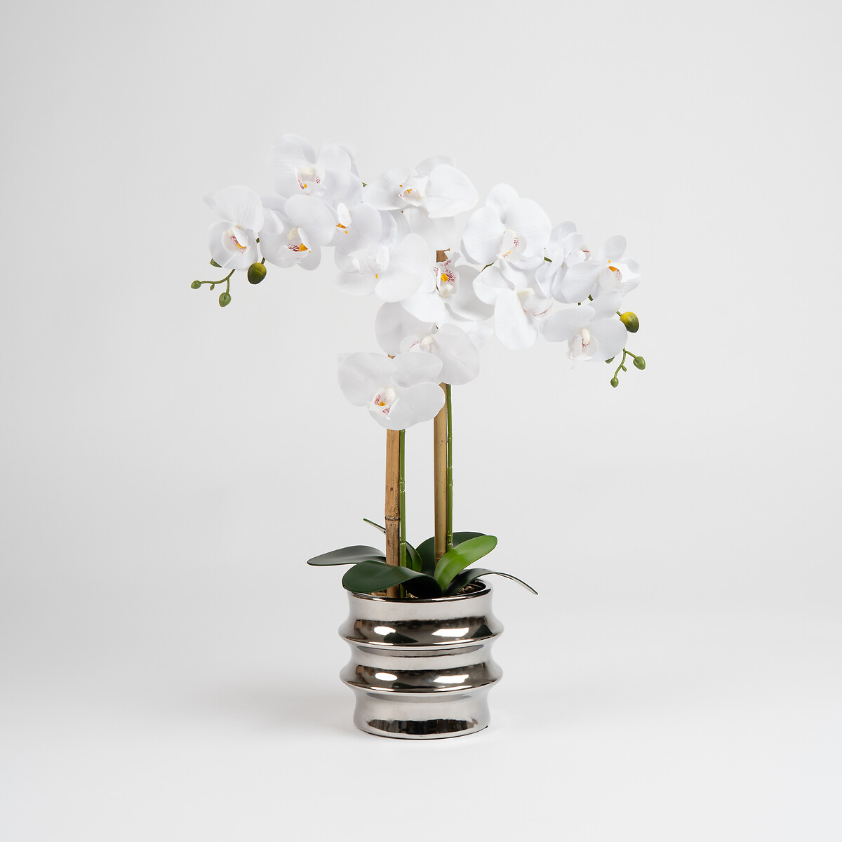 54cm White Orchid in Silver Ceramic Pot white, SO'HOME