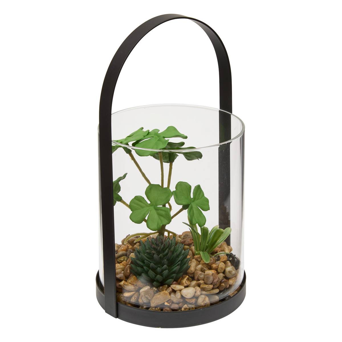 Terrarium WILO vert trèfle, ATMOSPHERA