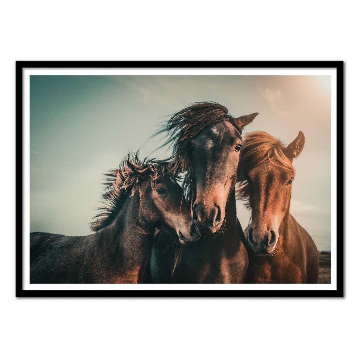 Affiche d’art et cadre noir 30 x 40 cm - Family Portrait - Marcus Hennen affiche d'art, WALL EDITIONS