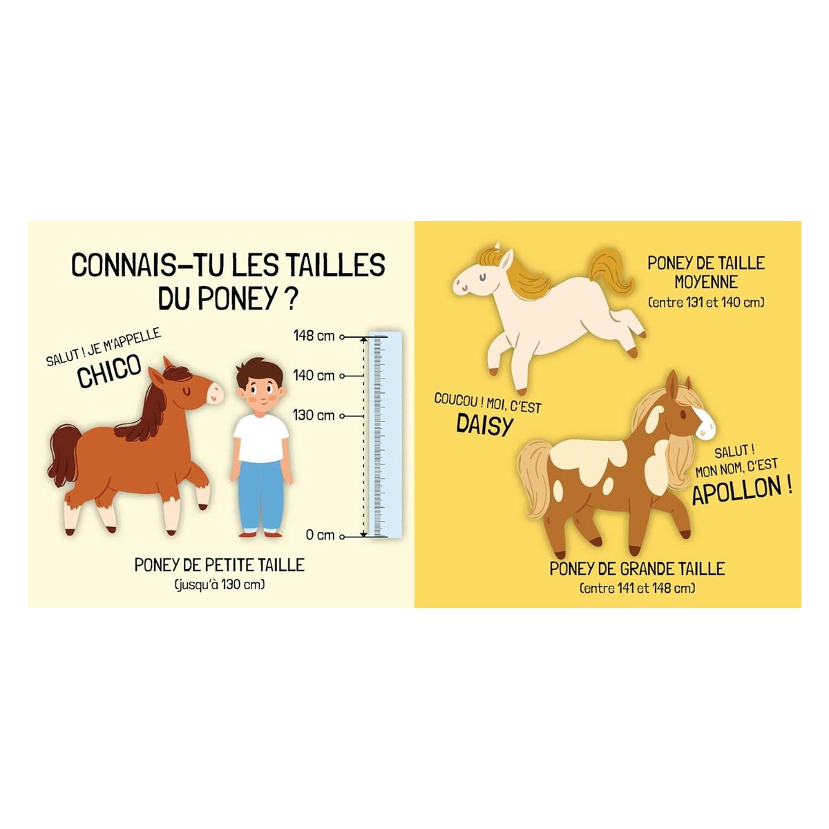 Livre et puzzle Les Poneys vert, SASSI JUNIOR