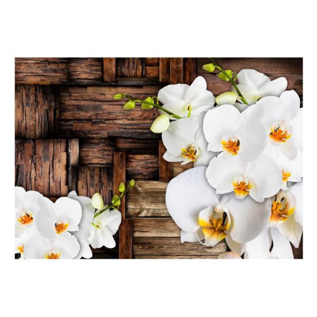Papier peint intissé panoramique Fleurs Blooming orchids blanc, EDEN