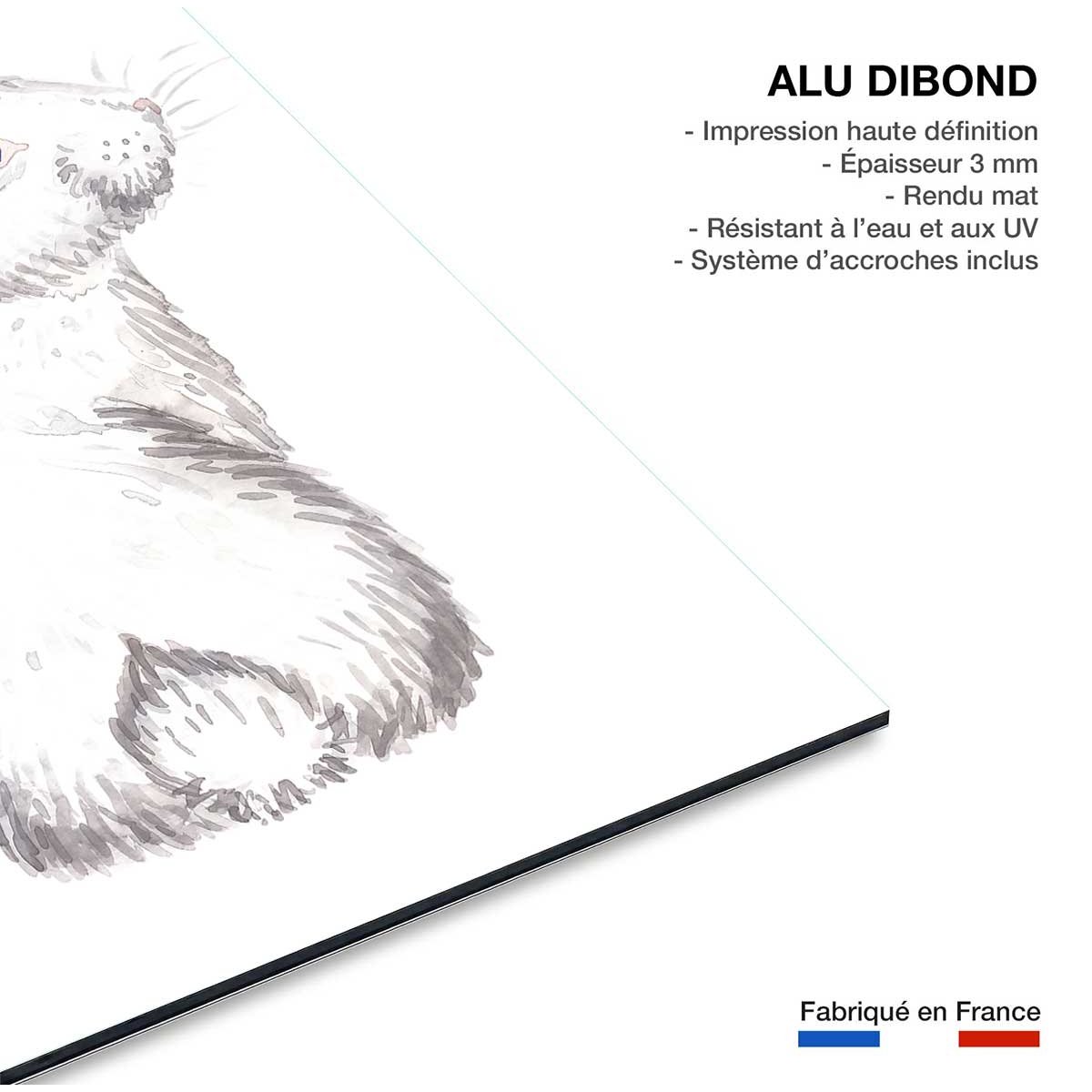 Tableau enfants pour le lapinou tableau alu dibond, HEXOA