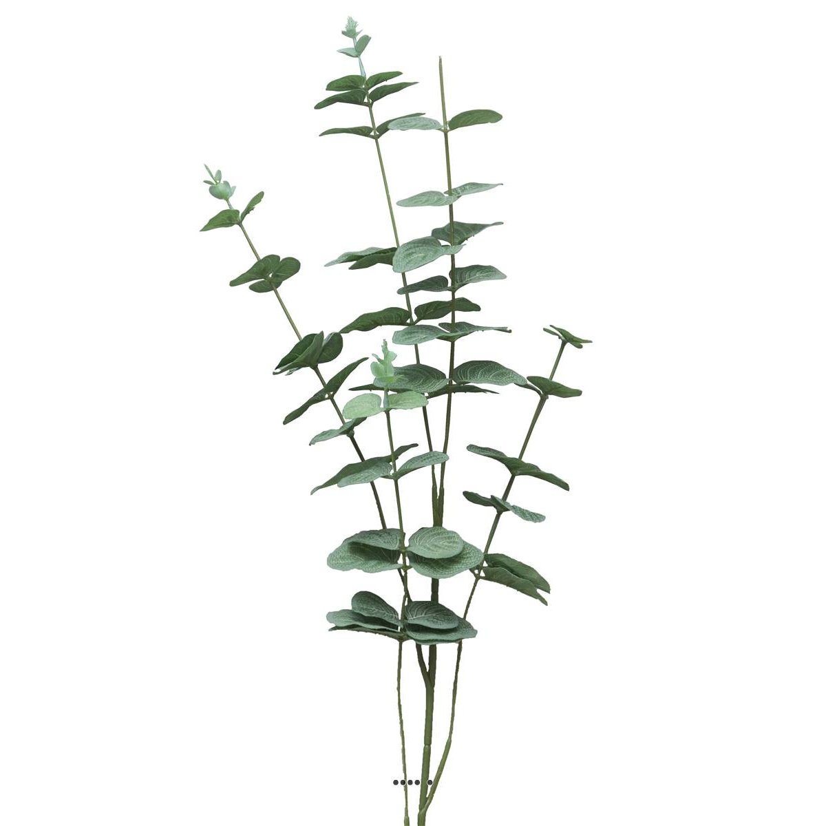 Eucalyptus artificiel en branche, 5 ramure v002239, ARTIFICIELLES