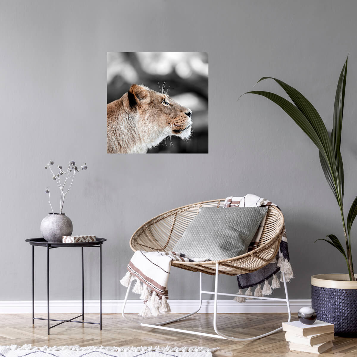 Tableau Mural Lionne De Profil ANIMAUX tableaux sur toile-gris, CEANOTHE