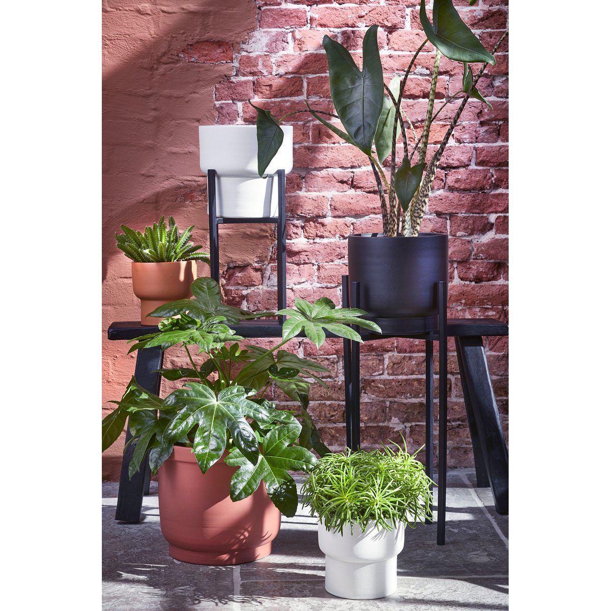 Support pour plantes H50 cm ASCOT XL noir, MICA DECORATIONS