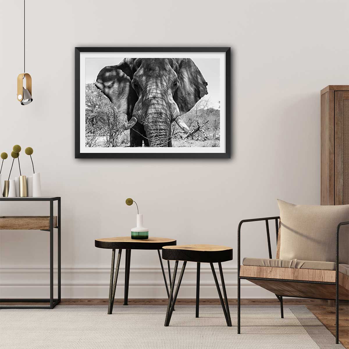 Poster éléphant d'afrique affiche + cadre en bois - noir, HEXOA