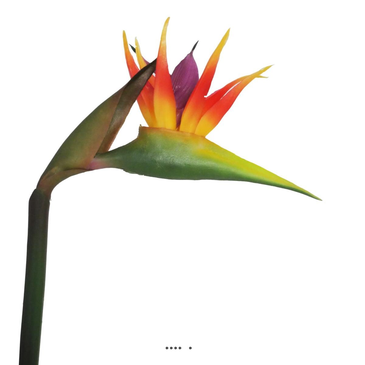 Strelitzia Arabica artificiel H 62 cm oiseau v002239, ARTIFICIELLES