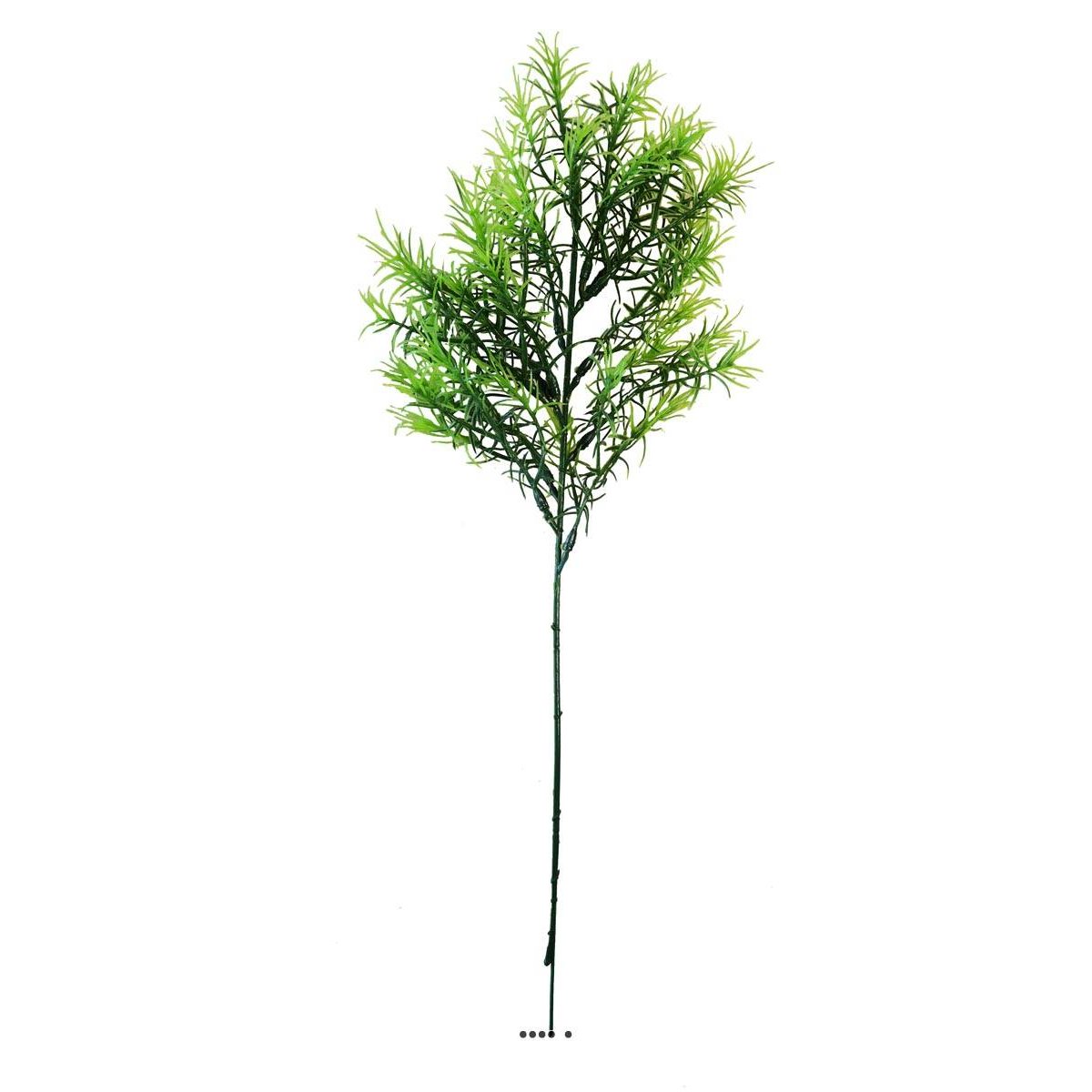 Asparagus Sprengeri en pic plastique artifi v002239, ARTIFICIELLES