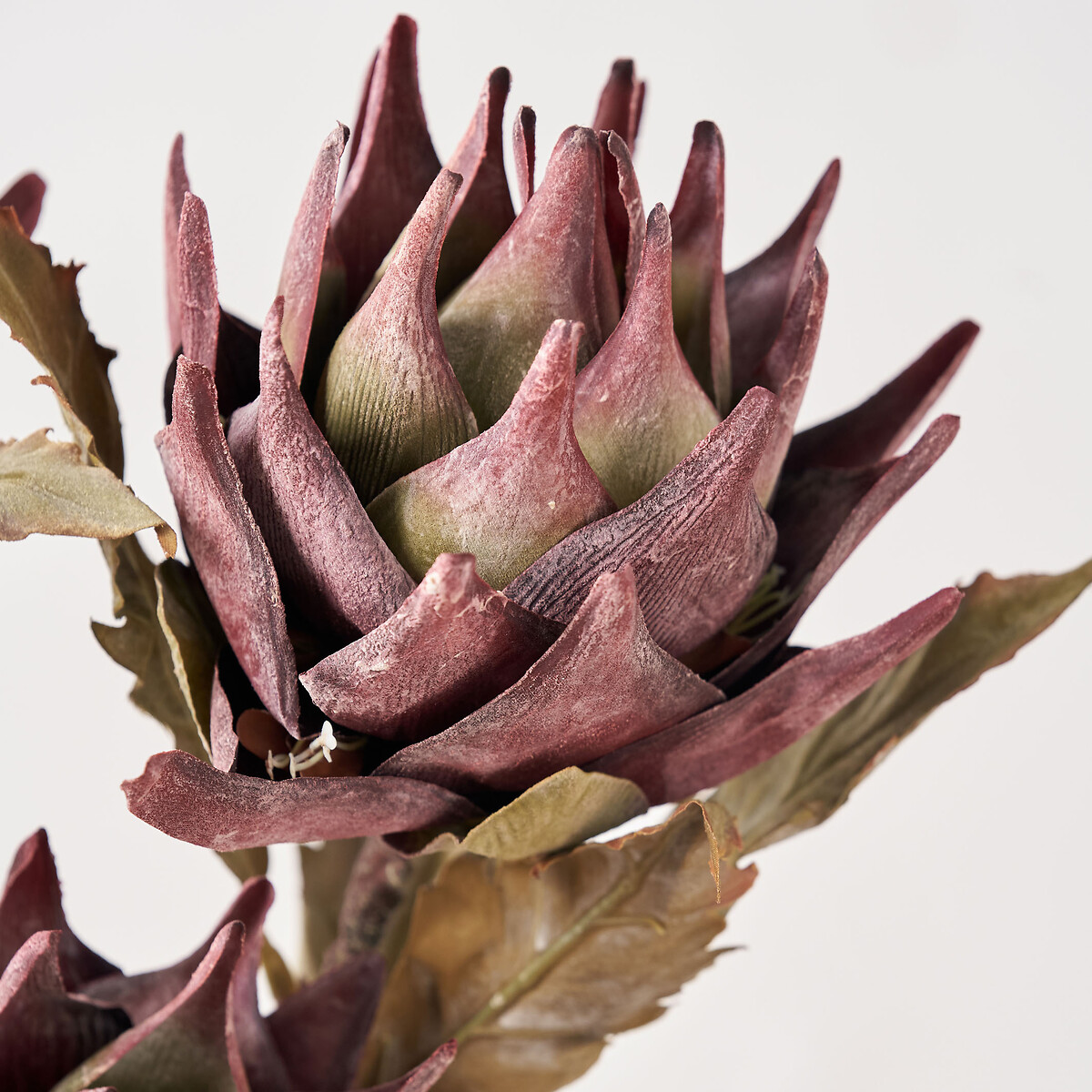 Mulberry Brown Dried Flower Bunch brown , SO'HOME