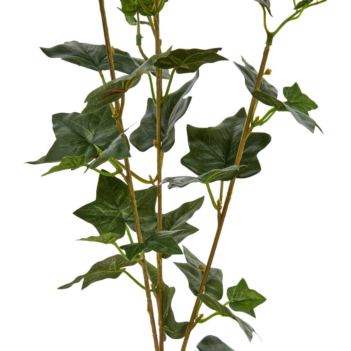 Tige de lierre NELIA vert, ATMOSPHERA