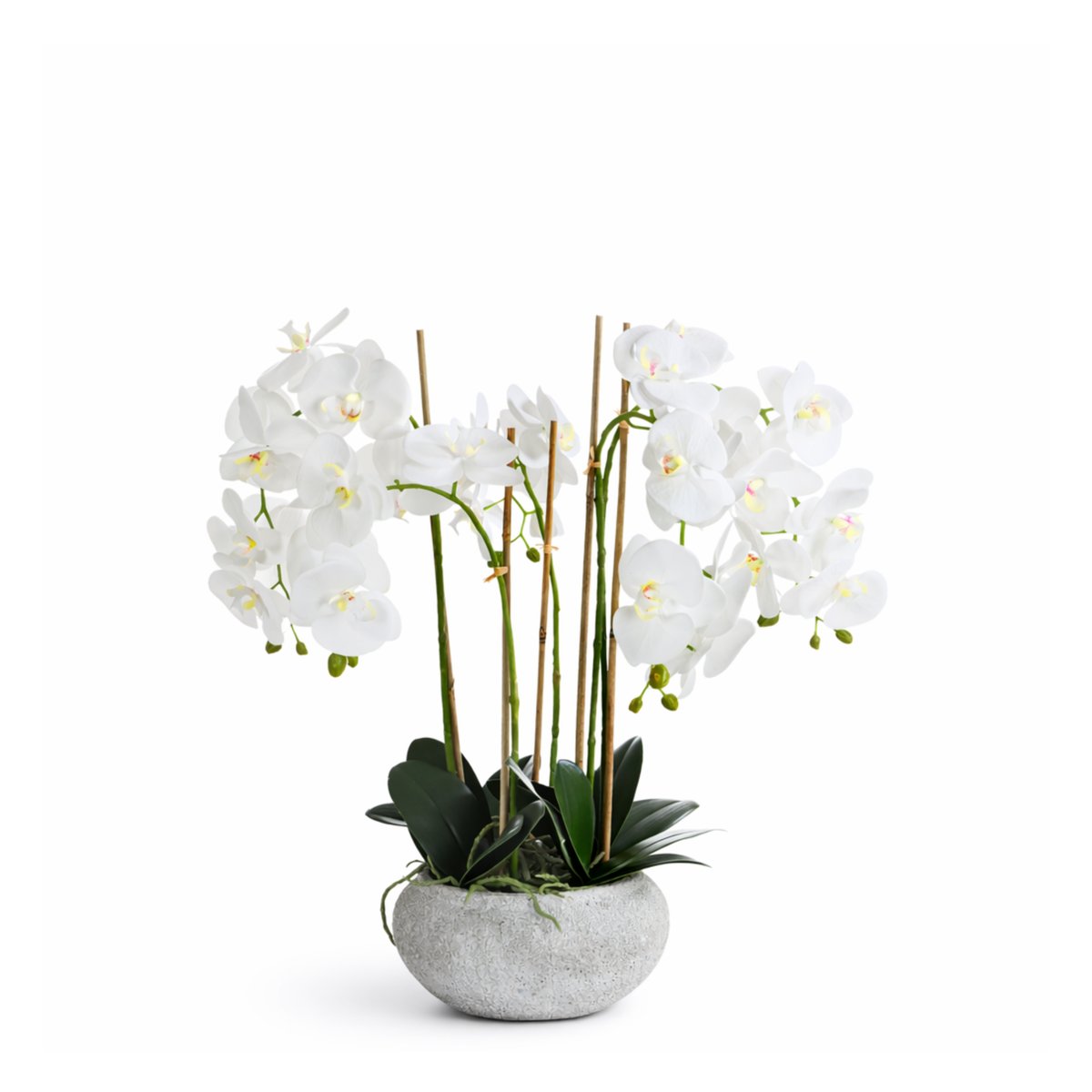 Composition d'orchidée 5 branches en pot artificielle H65 SERENA blanc, SIA DECO