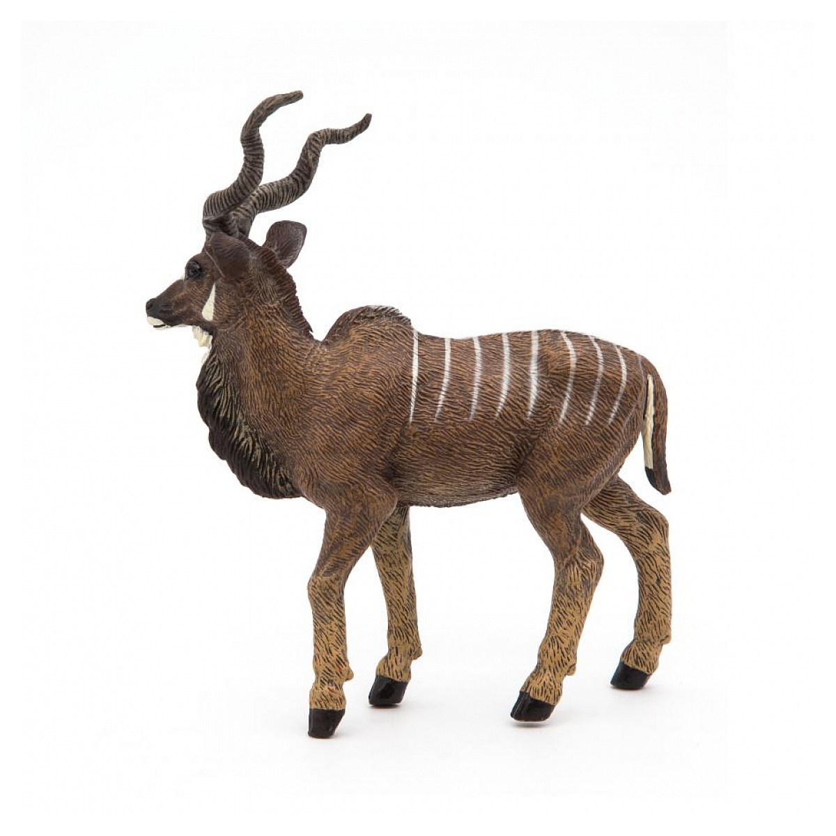 Antilope Koudou marron, PAPO