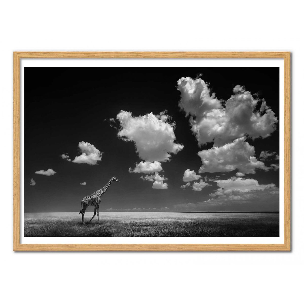 Affiche d'art - Gone with the Clouds - Alberto Ghizzi Panizza affiche d'art, WALL EDITIONS
