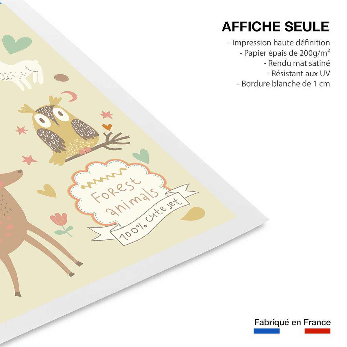 Affiche enfant cute set forest animals affiche seule, HEXOA