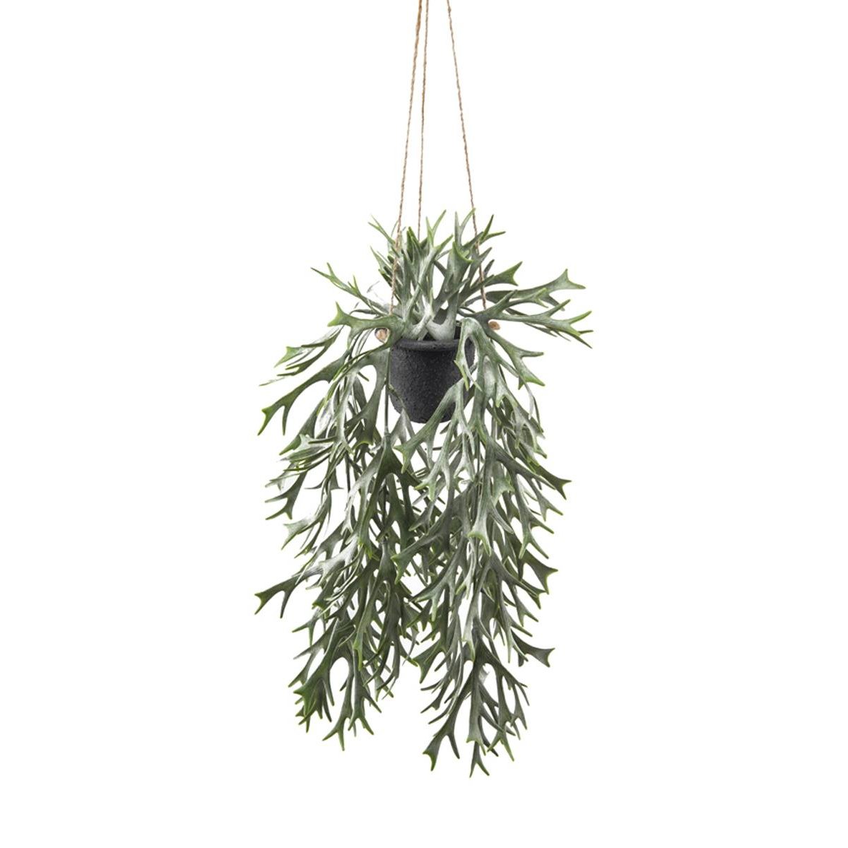 Fougère Platycerium artificielle en pot v002239, ARTIFICIELLES