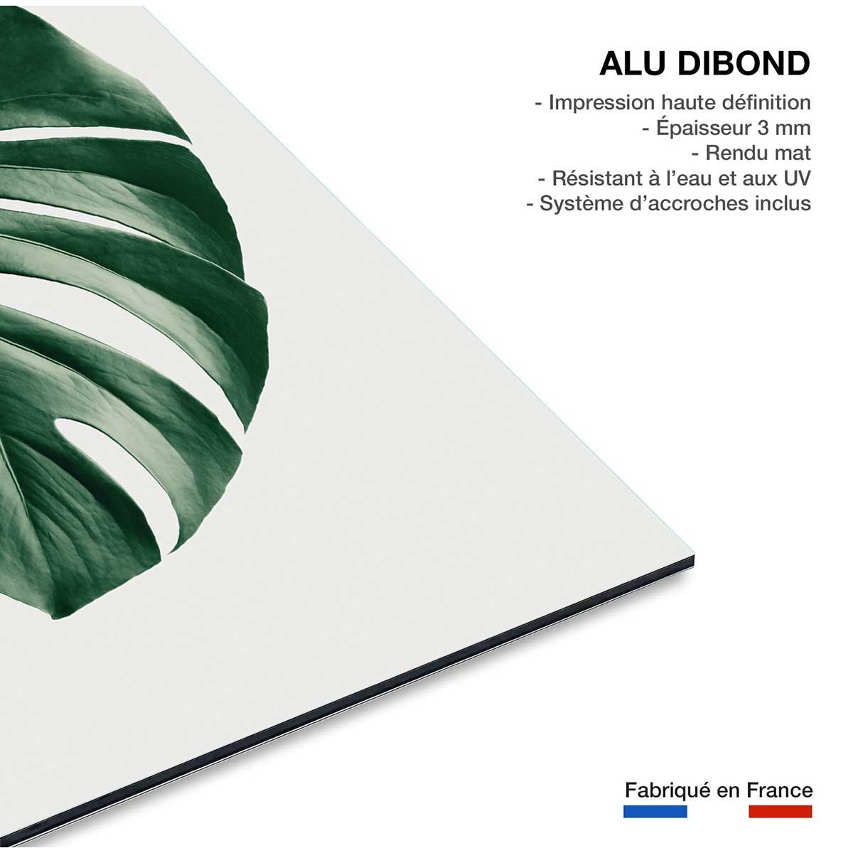 Tableau monstera perfect tableau alu dibond, HEXOA