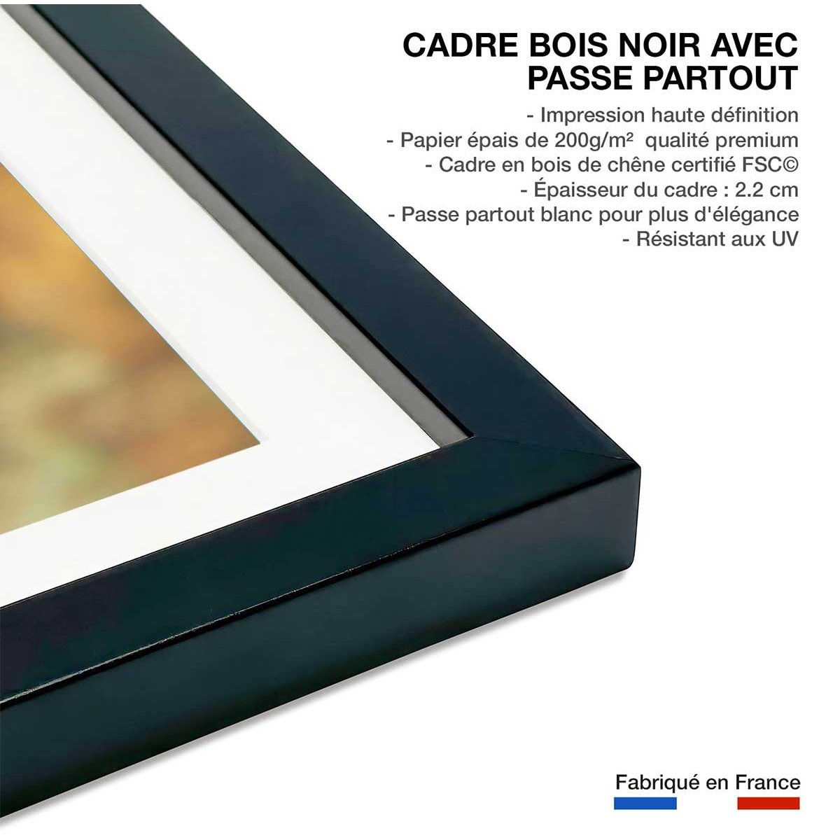 Affiche portrait d'ours affiche + cadre en bois - noir, HEXOA