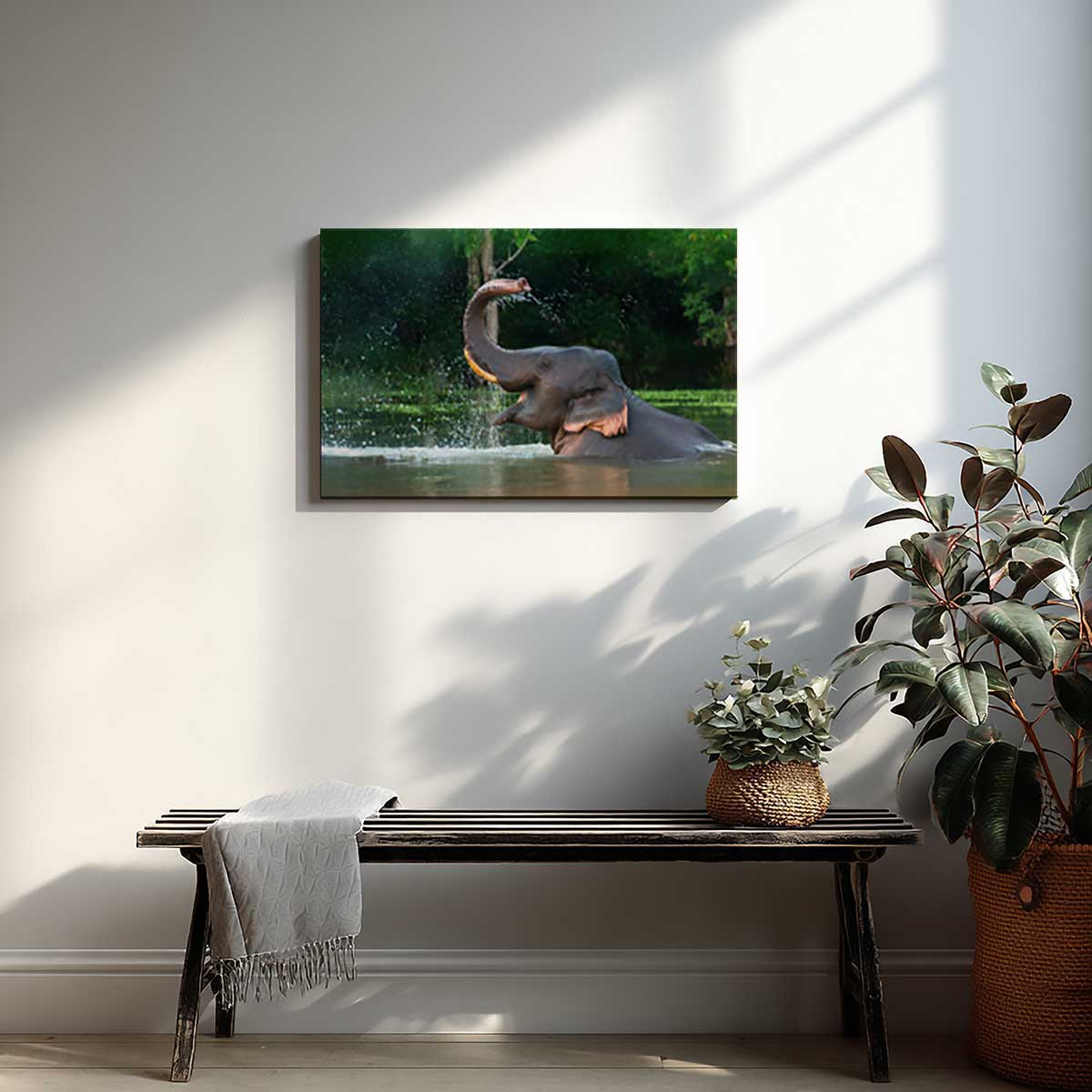 Tableau éléphant sauvage éclaboussures d’eau tropicales toile imprimée, HEXOA