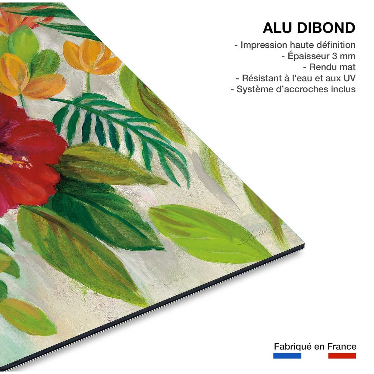 Tableau Hibiscus des tropiques tableau alu dibond, HEXOA