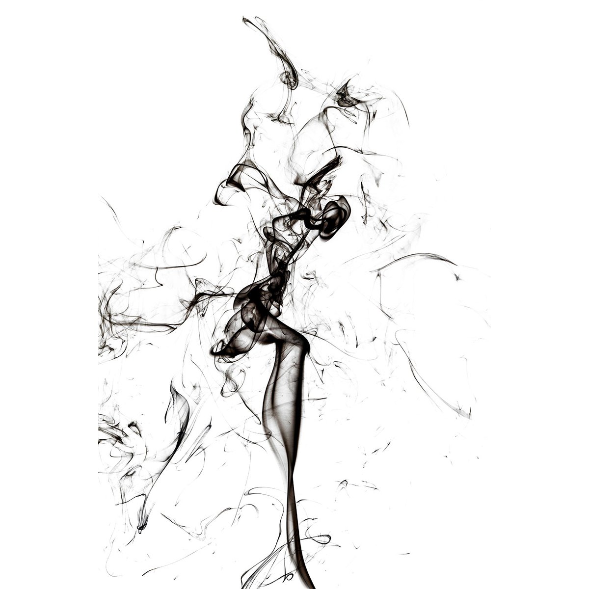 Tableau black smoke tulip dream tableau alu dibond, HEXOA
