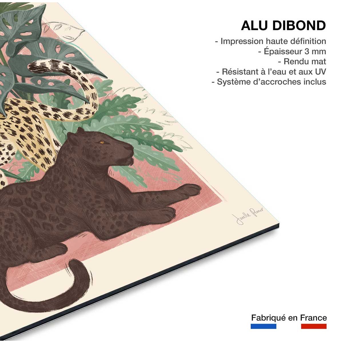 Tableau Panthers tableau alu dibond, HEXOA