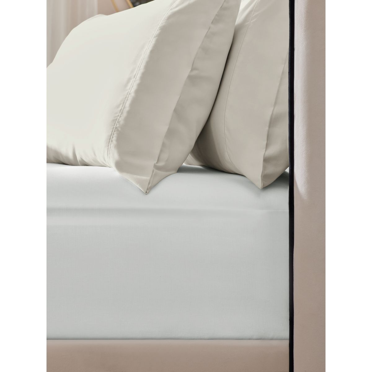 Drap collection luxe 300 fils ivoire, NEXT