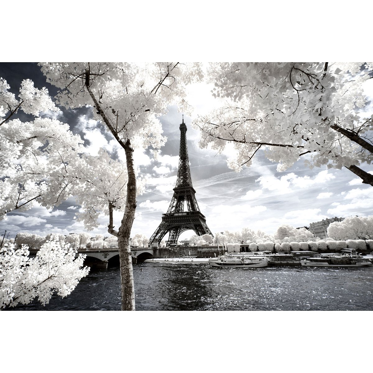 Tableau paris tour eiffel blanche tableau alu dibond, HEXOA