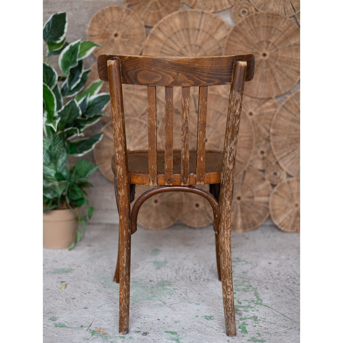 Paire de chaises bistrot Alma N°2043 - Bon état bois foncé, DEBONGOUT