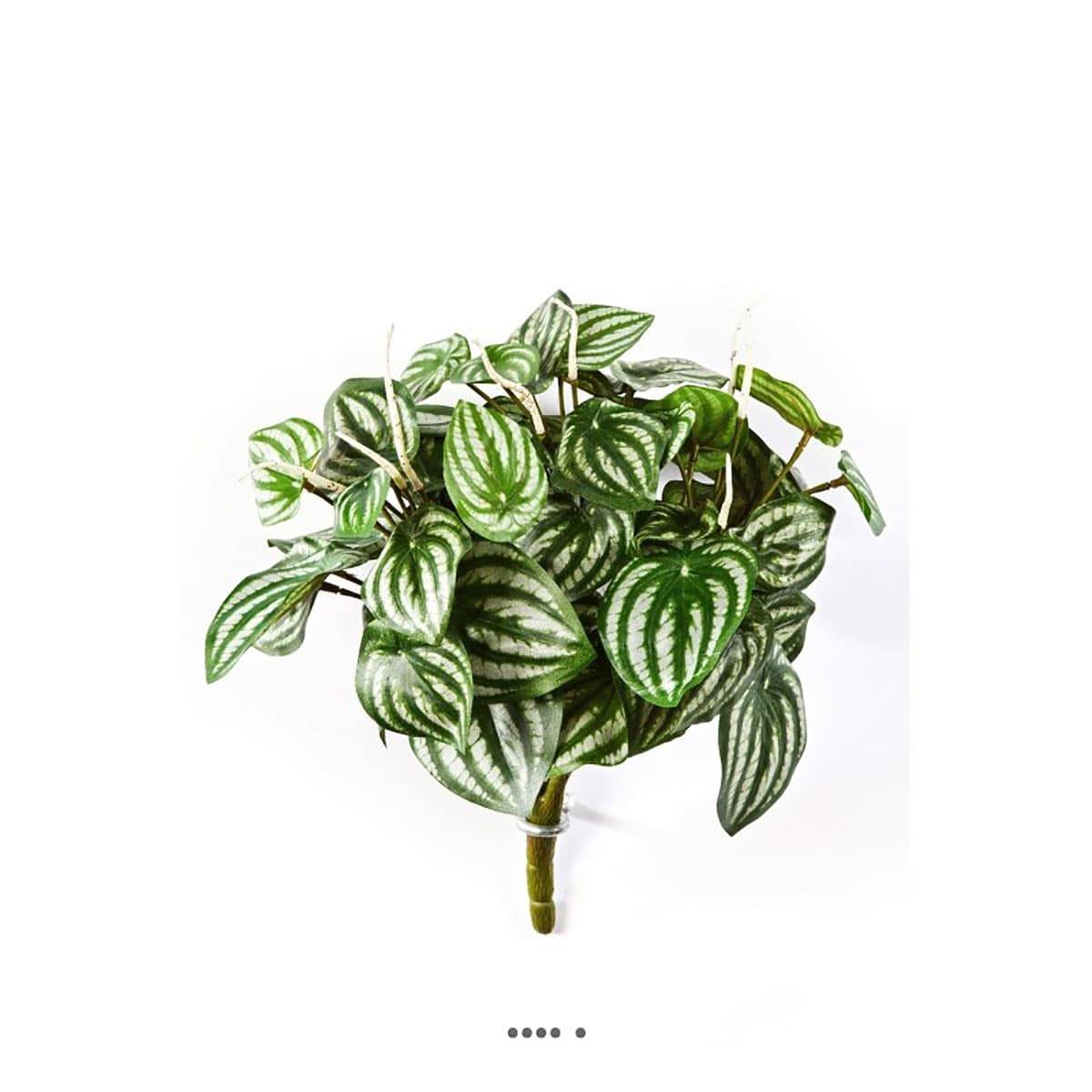Peperomia artificiel Vert Blanc 30 cm 52 feui vert, ARTIFICIELLES