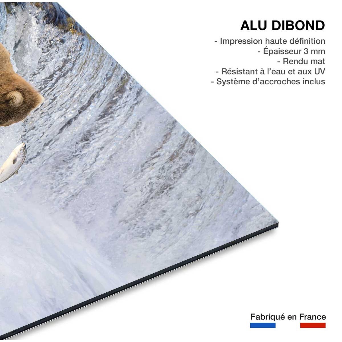 Tableau Un ours pêche sur le bord tableau alu dibond, HEXOA