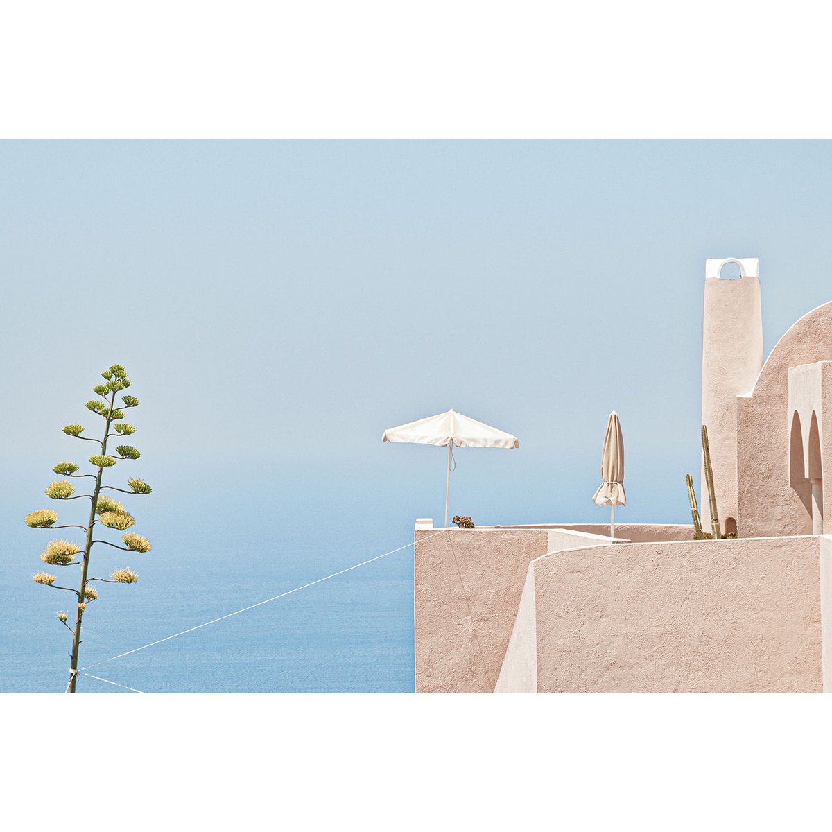 Tableau agave au bord de mer tableau alu dibond, HEXOA