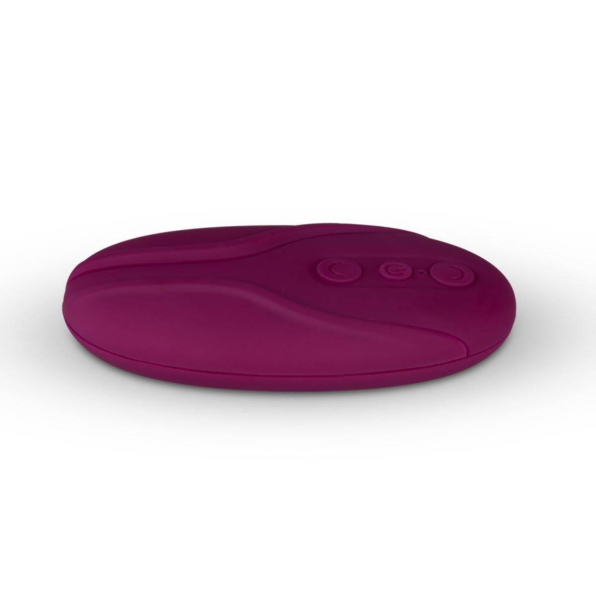 Vibromasseur coffret télécommandé pour couple avec lubrificant violet, EASY CHOICE