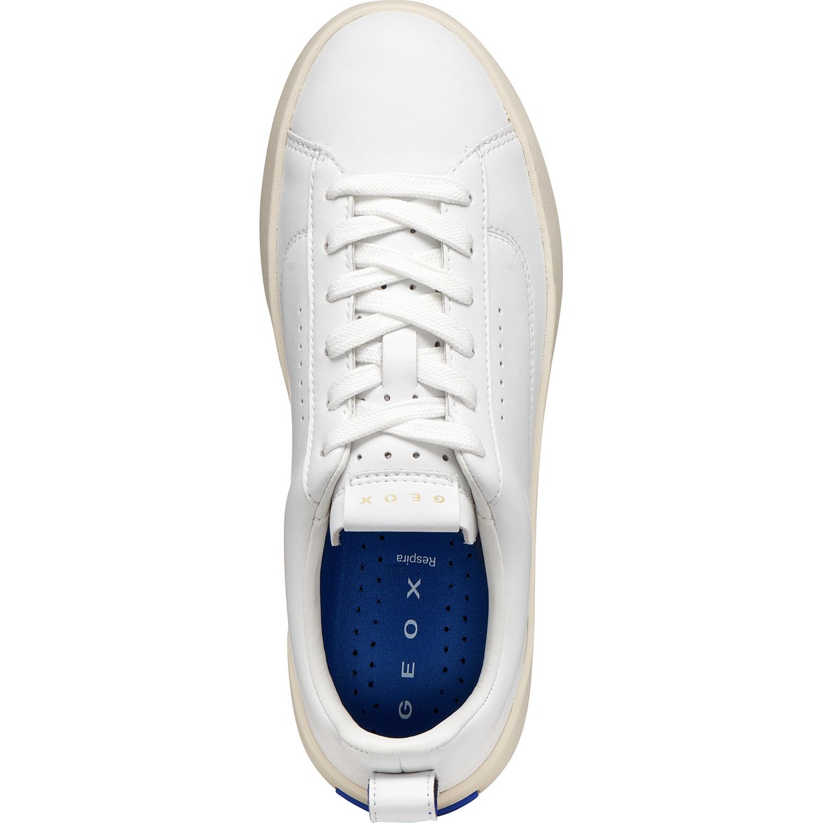 Baskets  D GXCP-01 blanc, GEOX