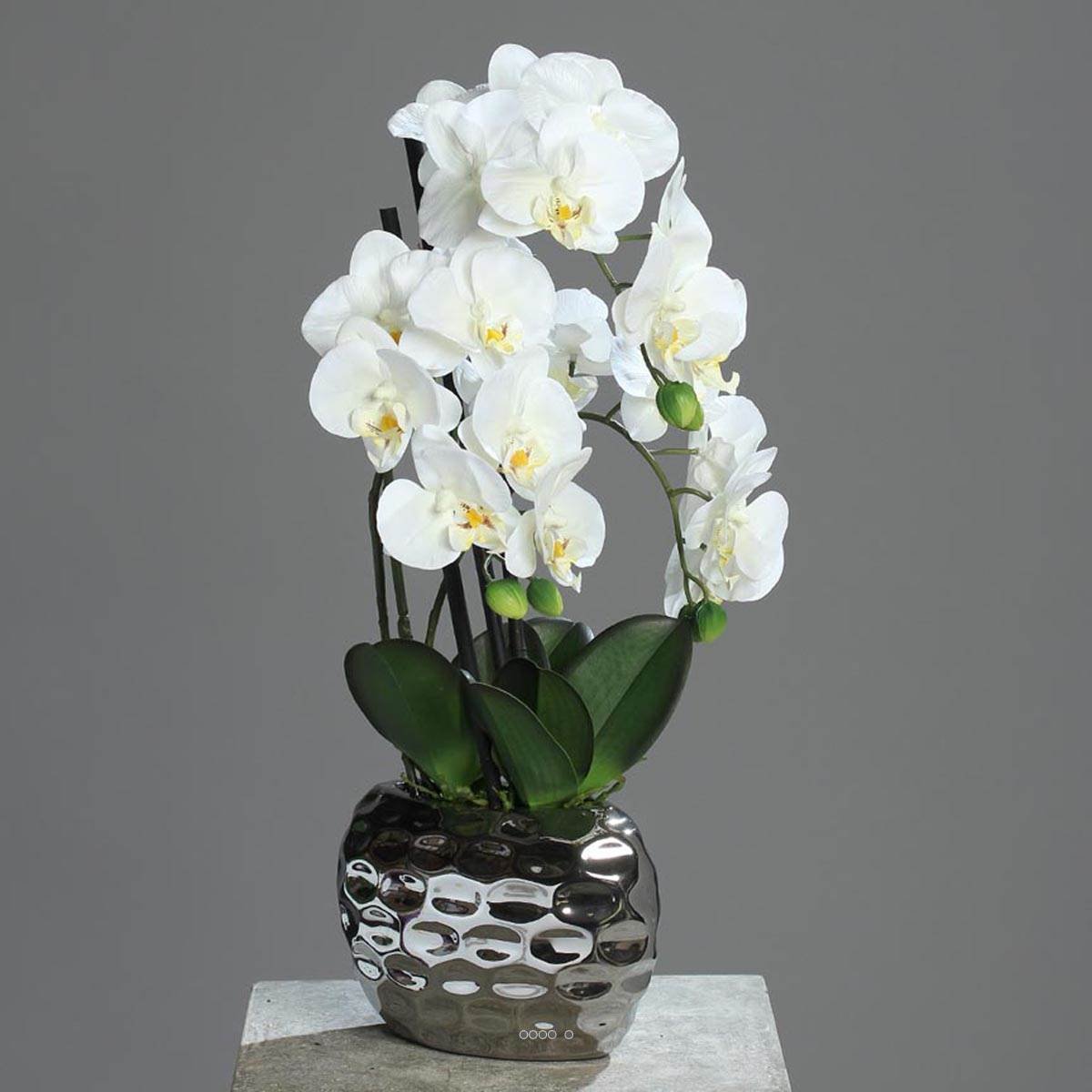 Orchidee artificielle 3 hampes en pot crème, ARTIFICIELLES