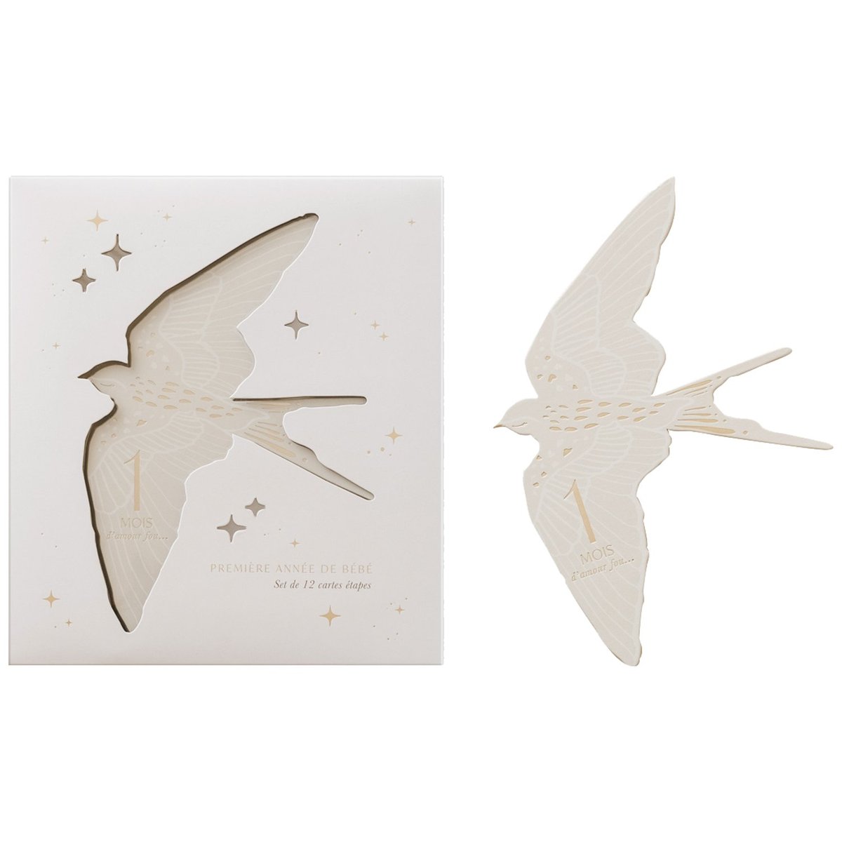 Cartes étapes Birds couleur unique, ZAKUW