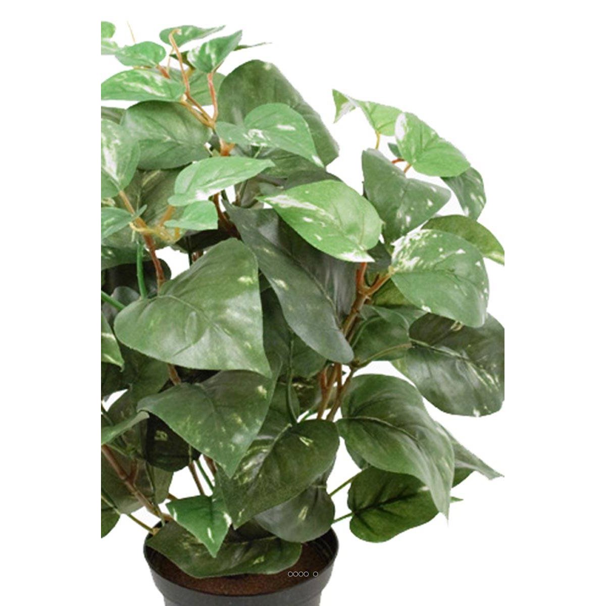 Pothos au feuillage panaché artificiel en pot v002239, ARTIFICIELLES