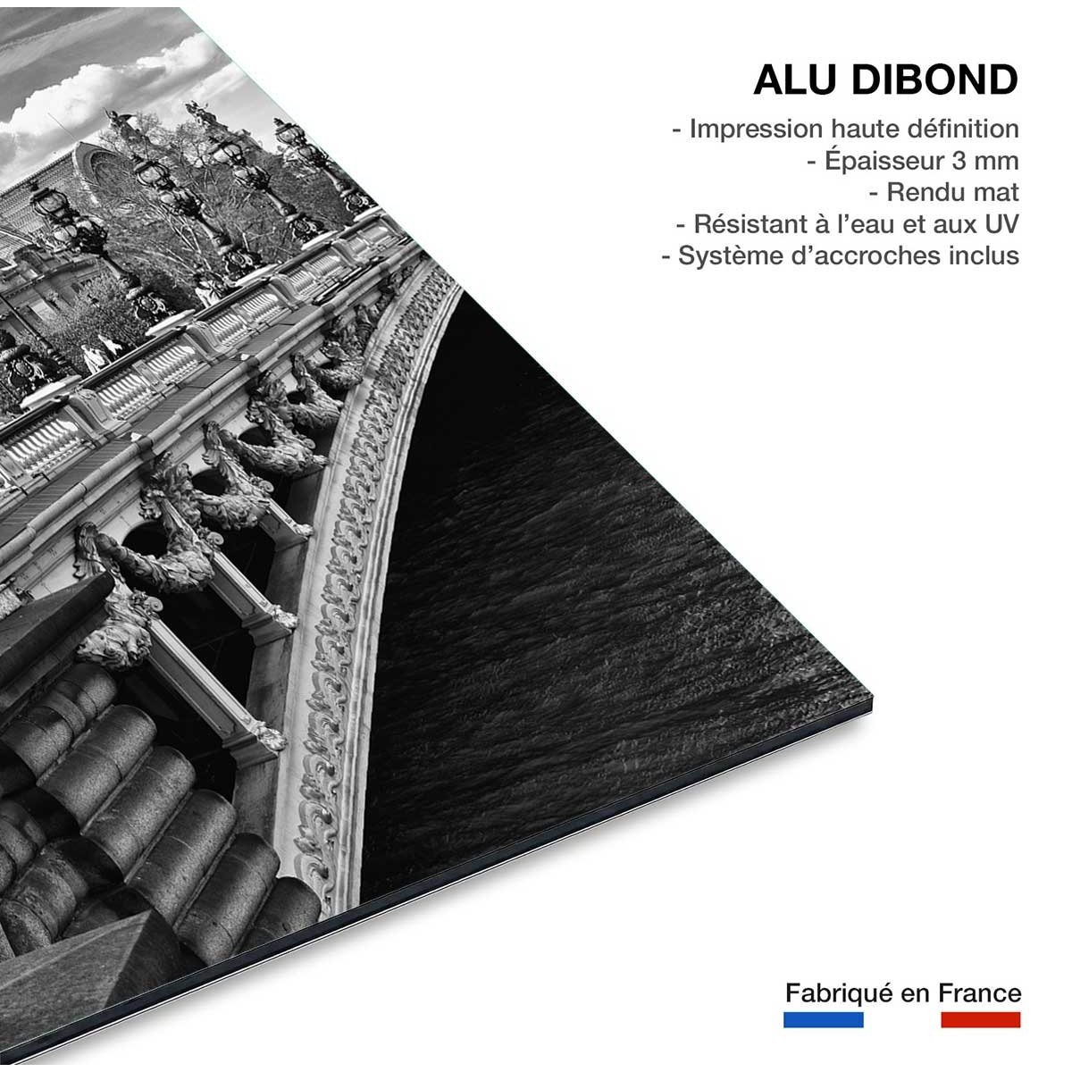 Tableau Paris Vue du pont Alexandre III tableau alu dibond, HEXOA
