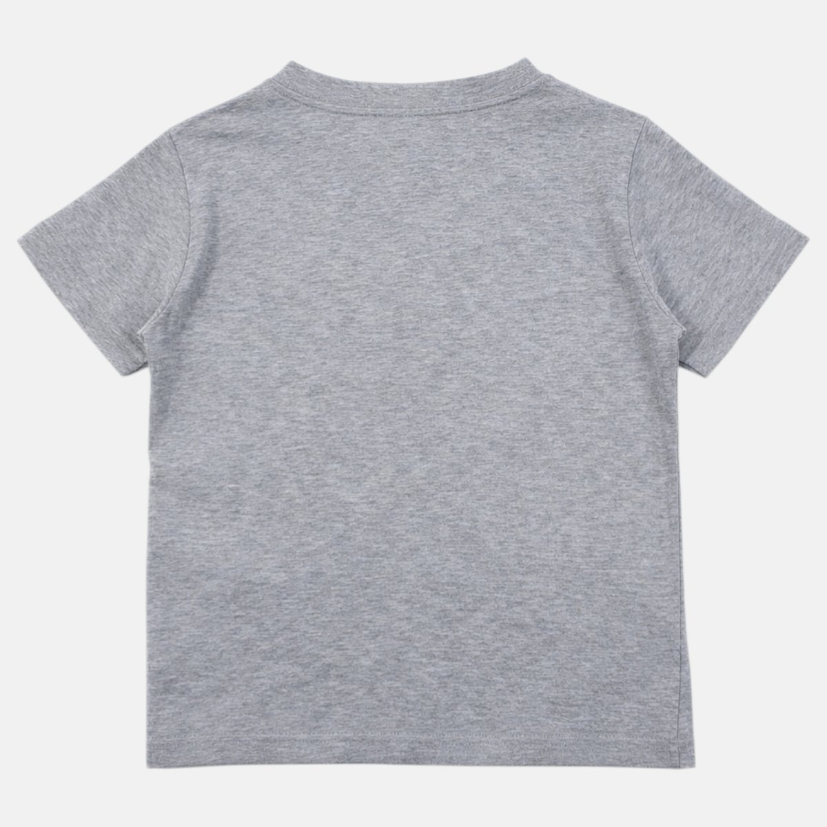 T-shirt manches courtes imprimé plage, col rond AVENTURE gris, LEE COOPER