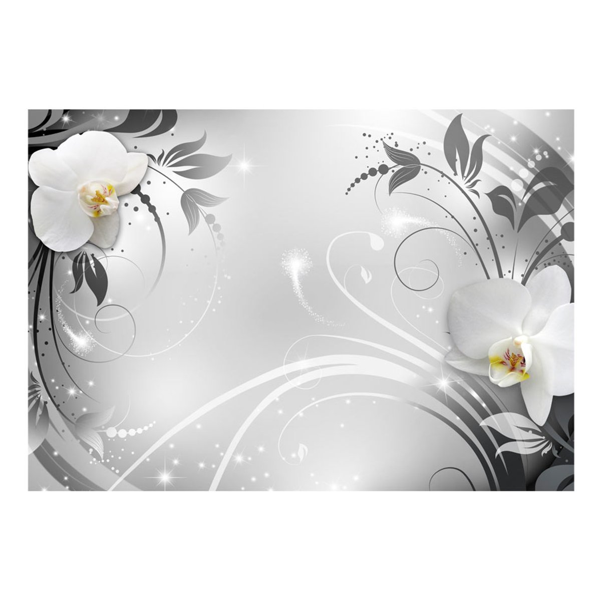 Papier peint intissé panoramique Fleurs Orchids on silver gris / argent, EDEN
